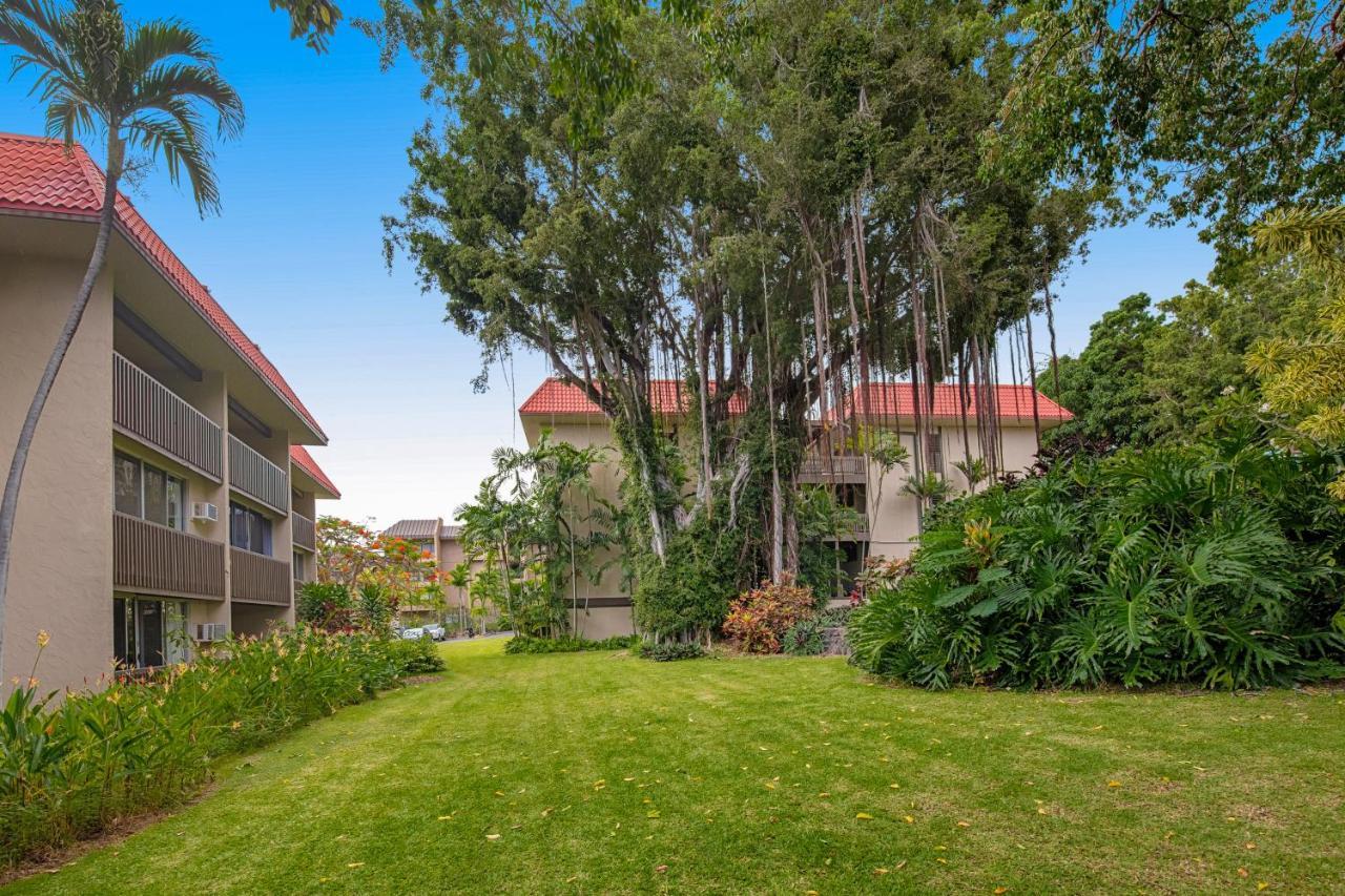 Kona Mansions D-226 Apartment Kailua-Kona Ngoại thất bức ảnh